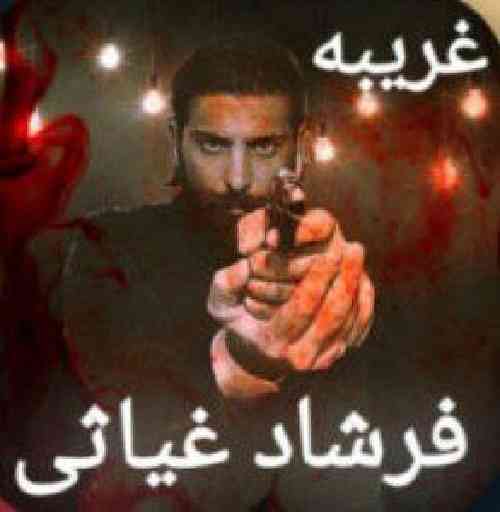 فرشاد غیاثی غریبه